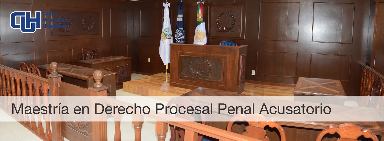 Derecho Procesal Penal Acusatorio
